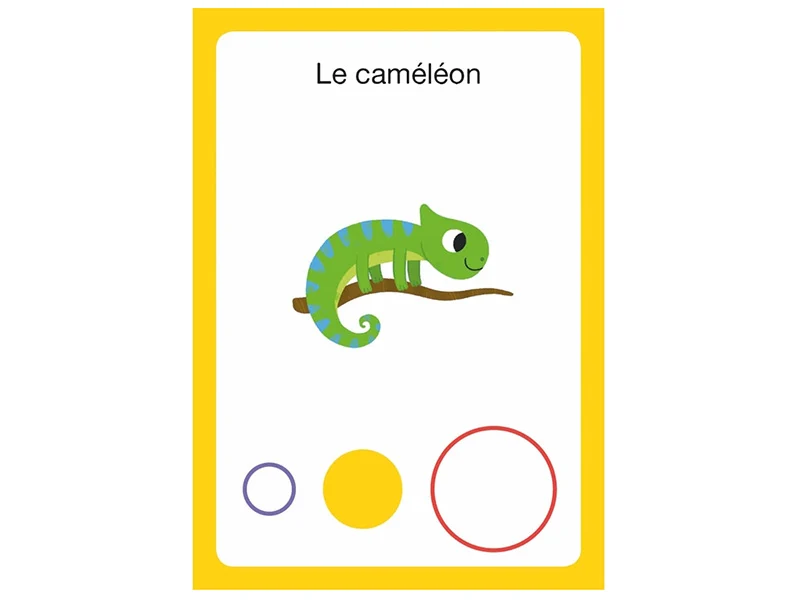 Mon premier jeu de bataille – Observer et comparer - Auzou