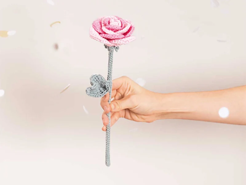 Pelote Ricorumi coton DK - Rose (08)