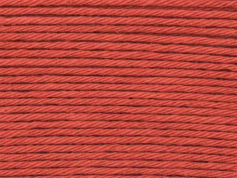 Pelote Ricorumi coton DK - Renard (25)