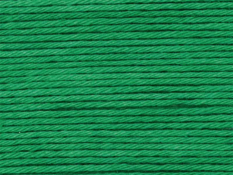 Pelote Ricorumi coton DK - Vert (49)