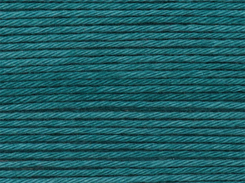 Pelote Ricorumi coton DK - Pétrole (40)