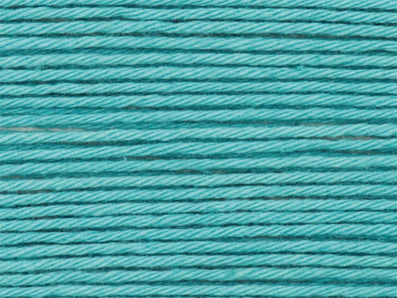 Pelote Ricorumi coton DK - Turquoise (39)