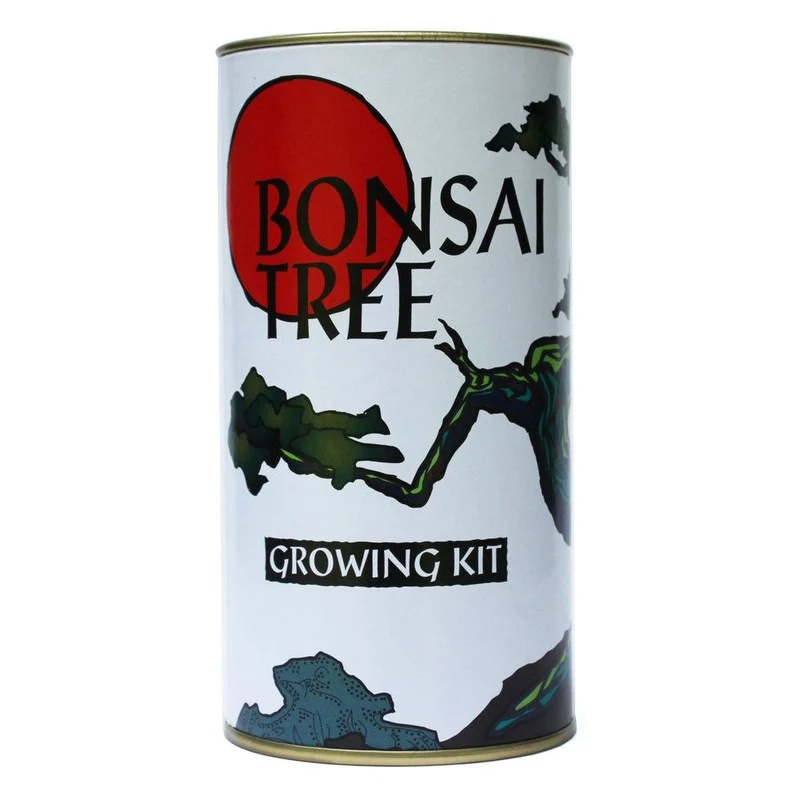 Grow Bonsai Tree Kit USA