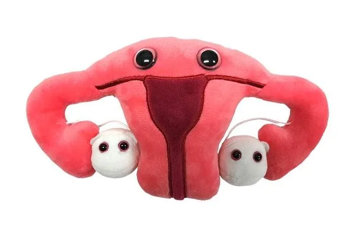 Giantmicrobe Plush Uterus