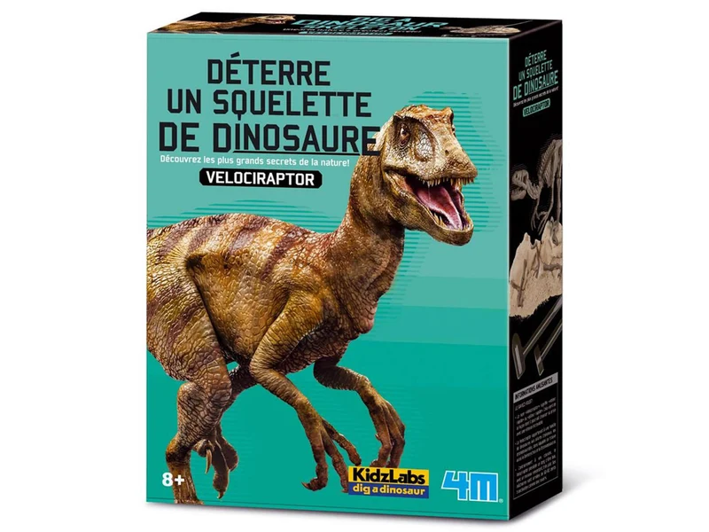 Kit DAM - Deterre ton dinosaure - Vélociraptor