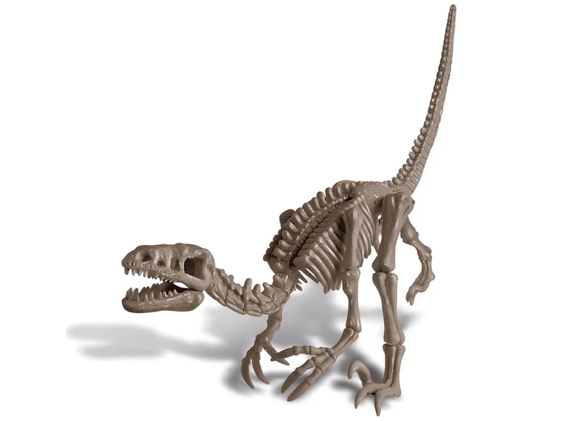 Kit DAM - Deterre ton dinosaure - Vélociraptor