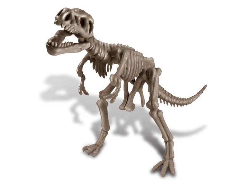 Kit DAM - Tyrannosaure Rex 22 x 17 cm