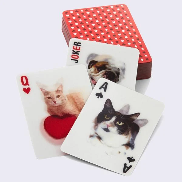 3D Cat Playing Cards