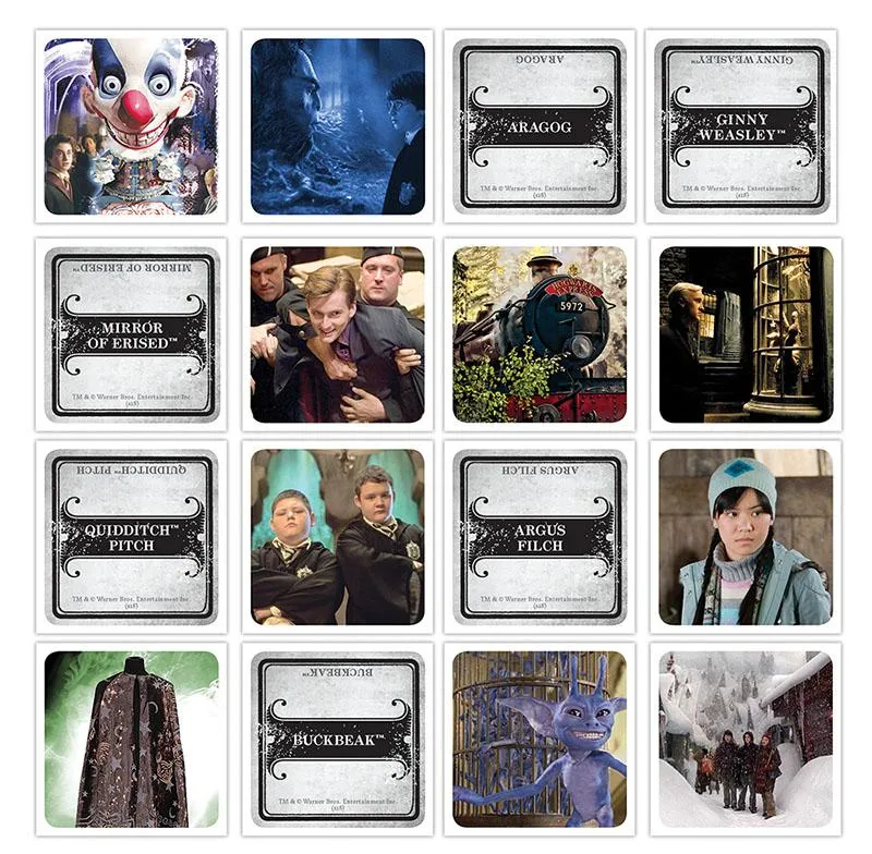 Harry Potter Codenames Game