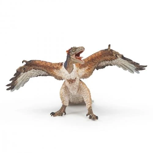 Papo Figurine Dinosaur Archaeopteryx Dinosaure