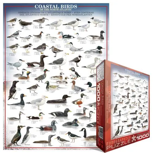 Eurographics Puzzle Coastal Birds of the North Atlantic / Oiseaux côtiers de l'Atlantique Nord(1000pcs)