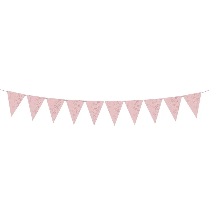 Rosé Celebration 100th Birthday Pennant Banner, 157 Inches, 1 Count