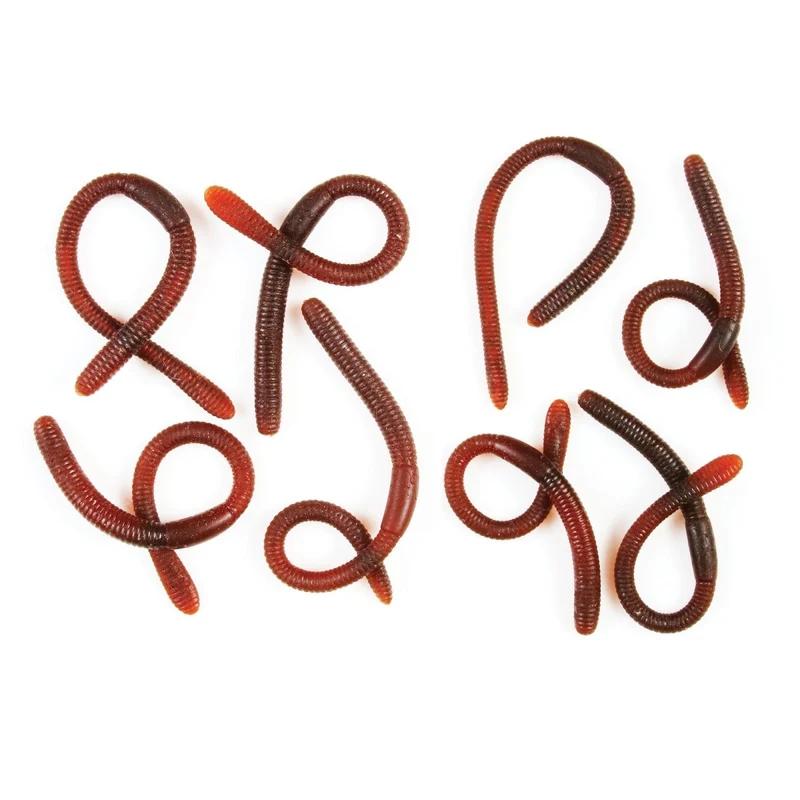 Bags-O-Bugs, Assortment, 1 Count