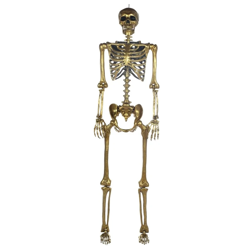 Gold Posable Skeleton, 60 Inches, 1 Count